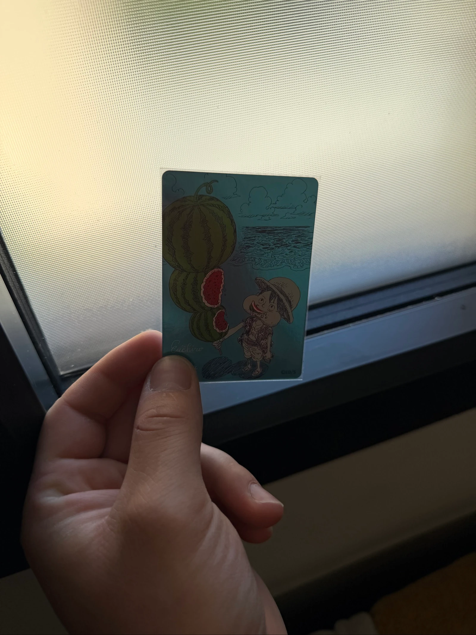 Luffy Natsucomi Meta Foil